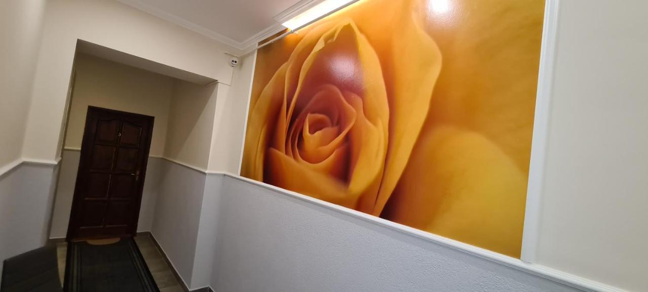 Rozsa Apartmanhaz 세게드 외부 사진